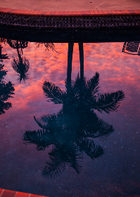 4yv0q02v
